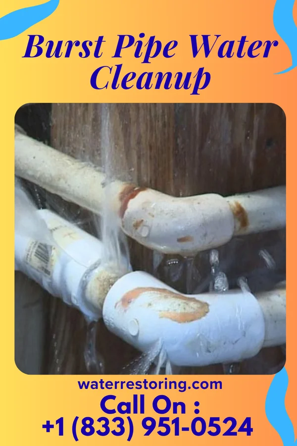 Burst Pipe Water Cleanup in Indian Springs, MD