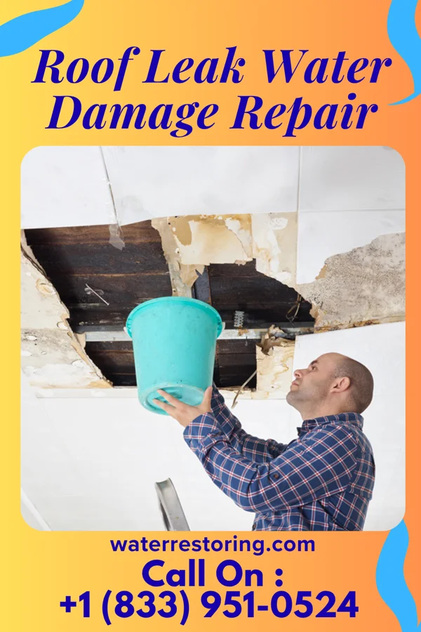 Roof Leak Water Damage Repair in Indian Springs, MD
