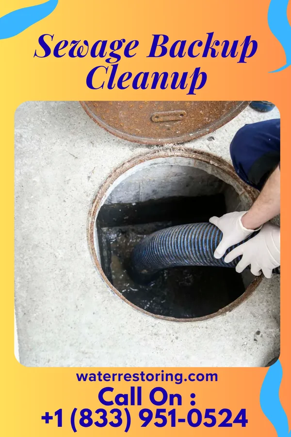 Sewage Backup Cleanup in Indian Springs, MD