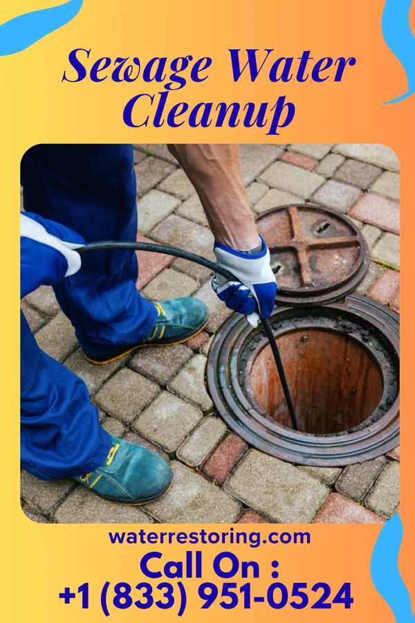 Sewage Water Cleanup in Indian Springs, MD